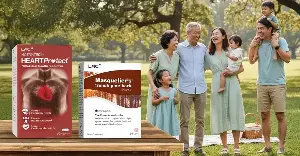 Protect your heart: How antioxidants support cardiovascular health